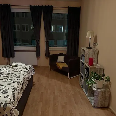 Innenstadt Apartament